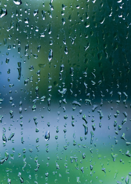 Novembre-il-mese-degli-imprevisti